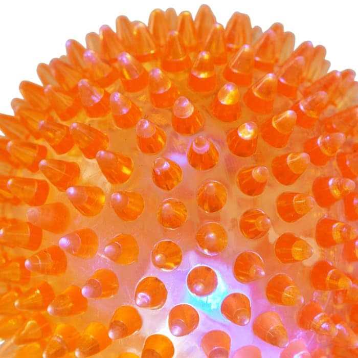 Spiny Ball Dog Chew Toy N366621
