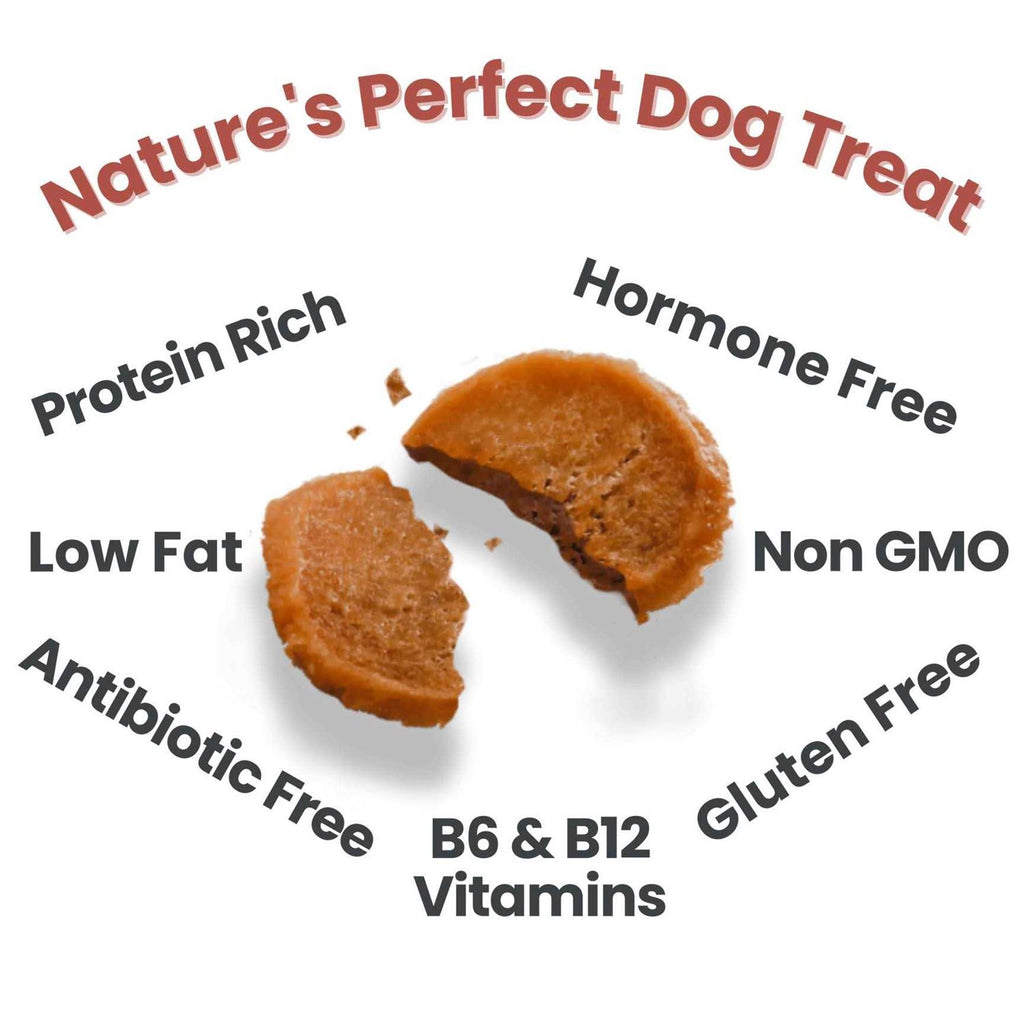 Chicken Chips Dog Treats F1412