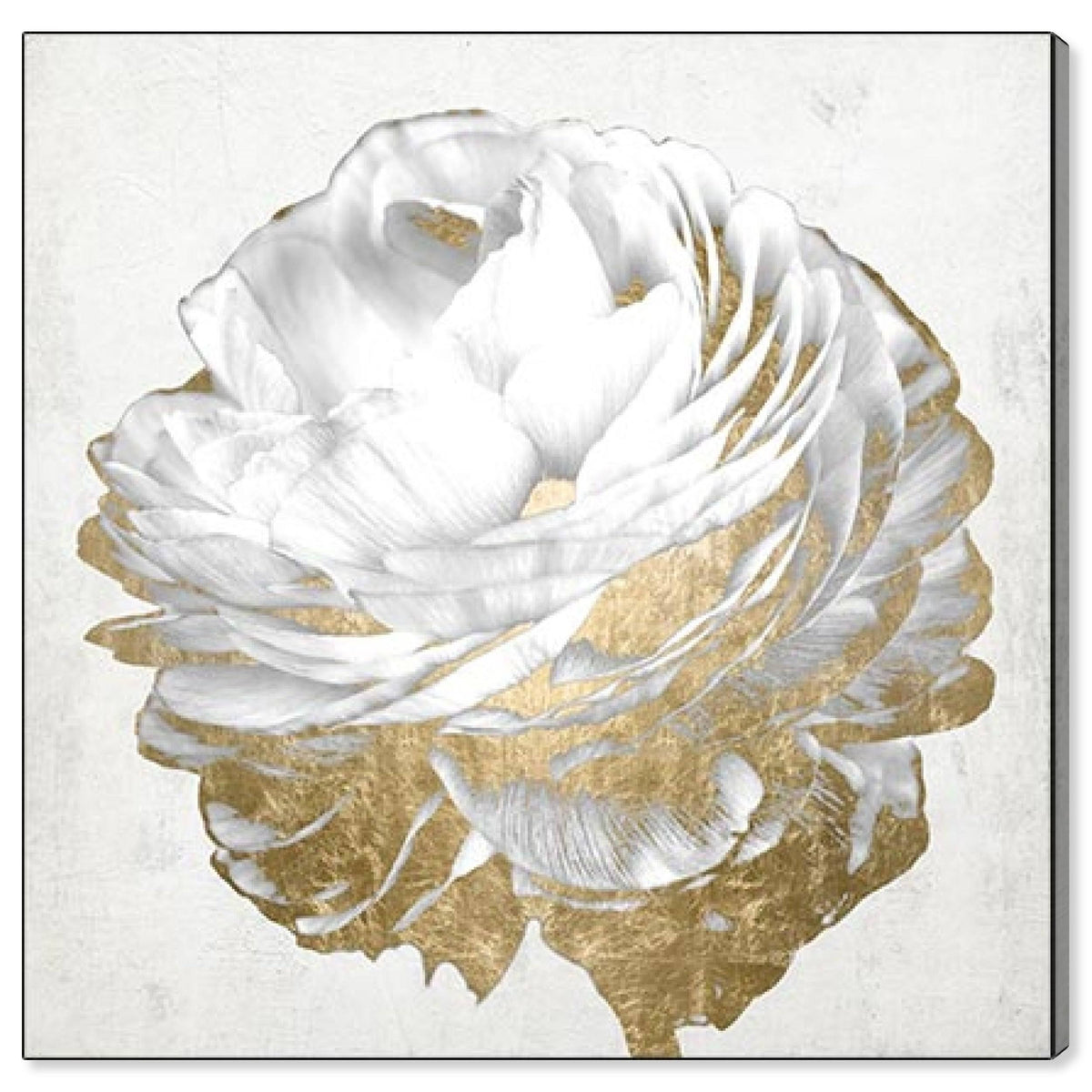 Gold and Light Floral Canvas Art G854181