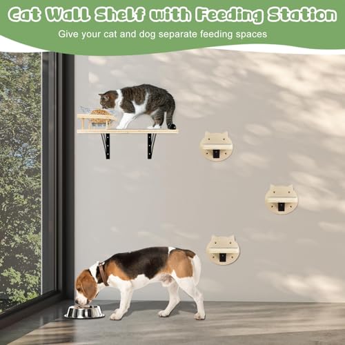 Cat Wall Shelves with 3 Steps & Scratch Post E4667
