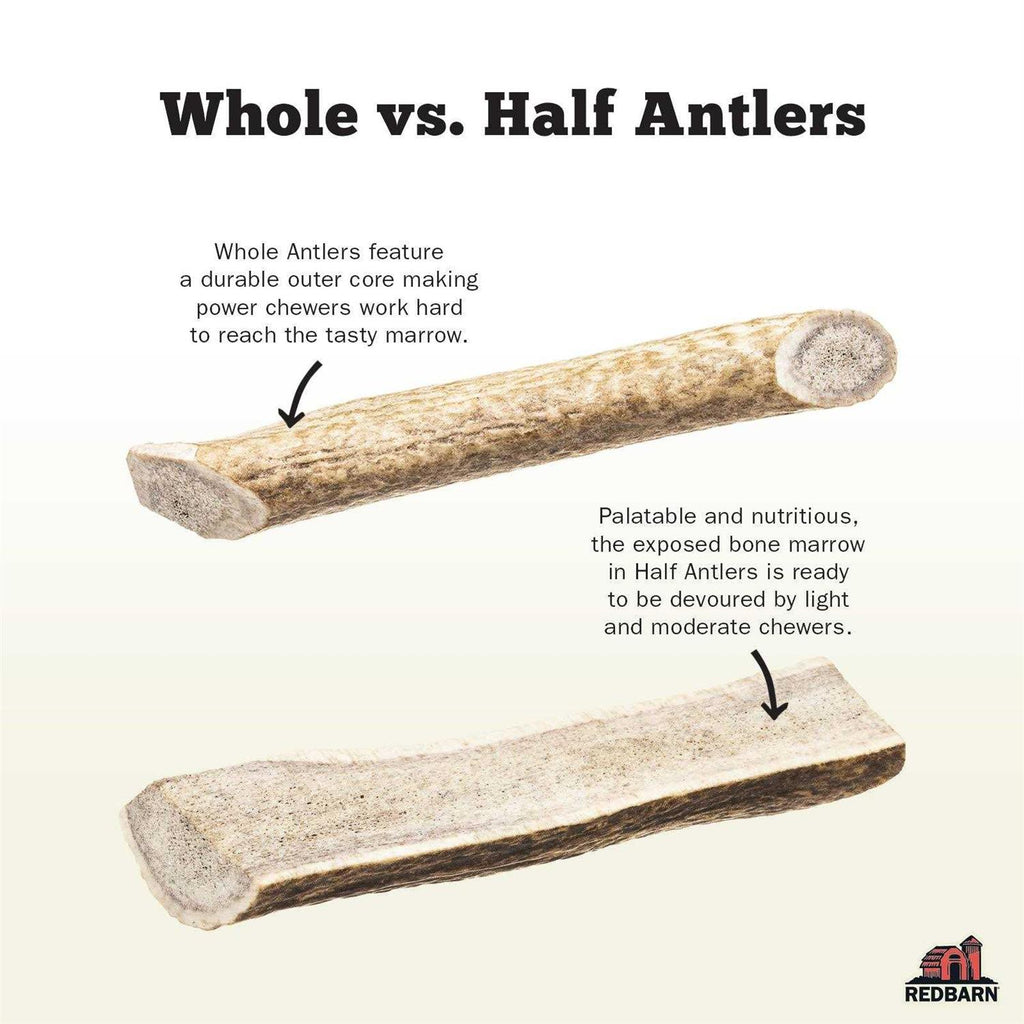 Deer Antler Pet Supplies N975
