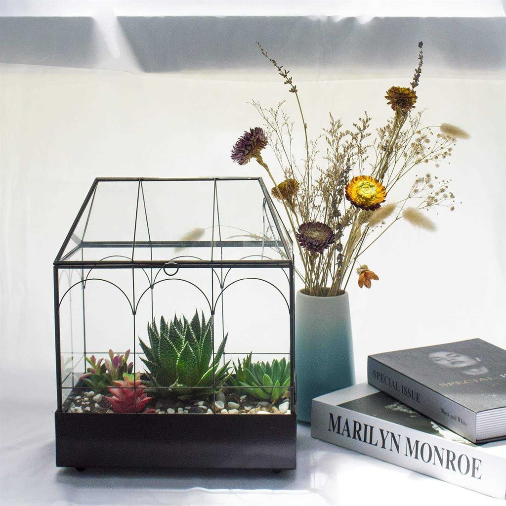 Large Tall Glass Plant Terrarium with Lip and Tray U891206