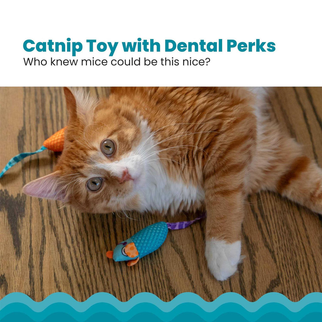 Catnip Cat Toy U201426