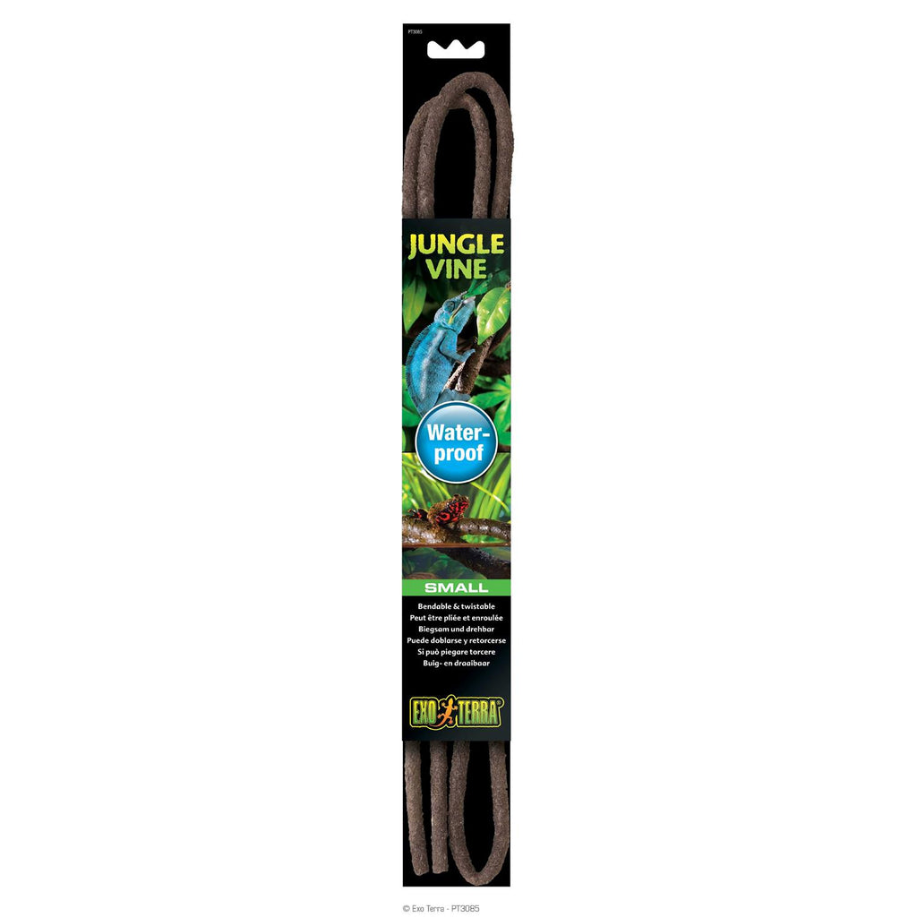 Jungle Vine X209455