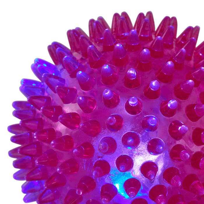 Spiny Ball Dog Chew Toy N366621