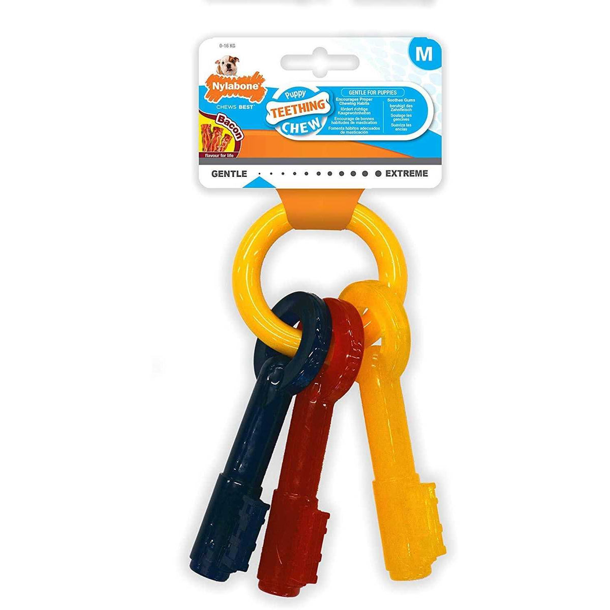 Puppy Chew Teething Keys I99025