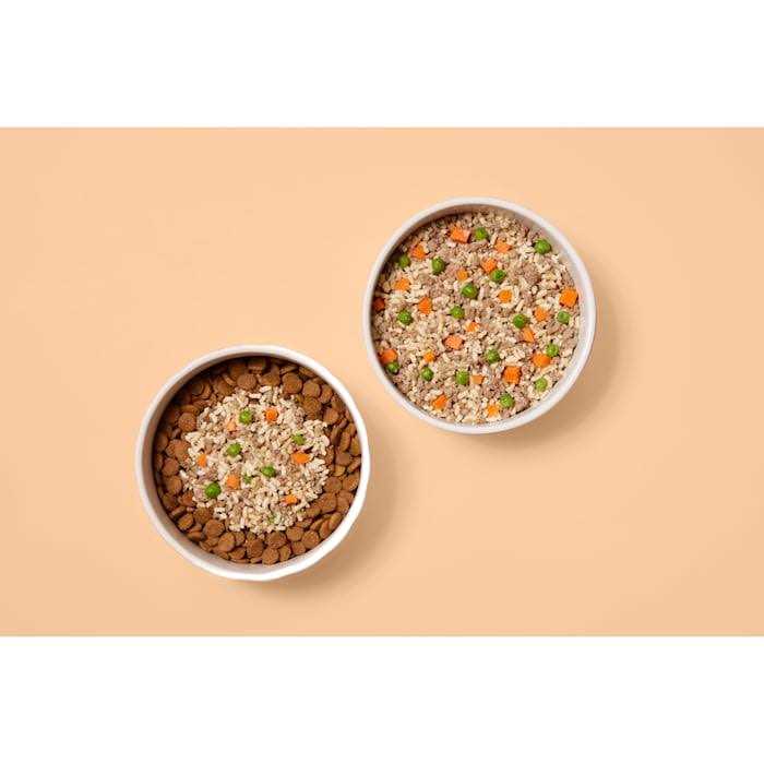Frozen Beef Recipe Dog Food L3602