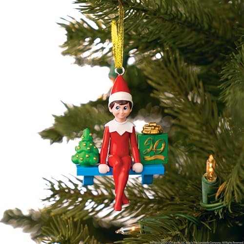 Posable Boy Scout Elf with Blue Eyes Box Set Q28480