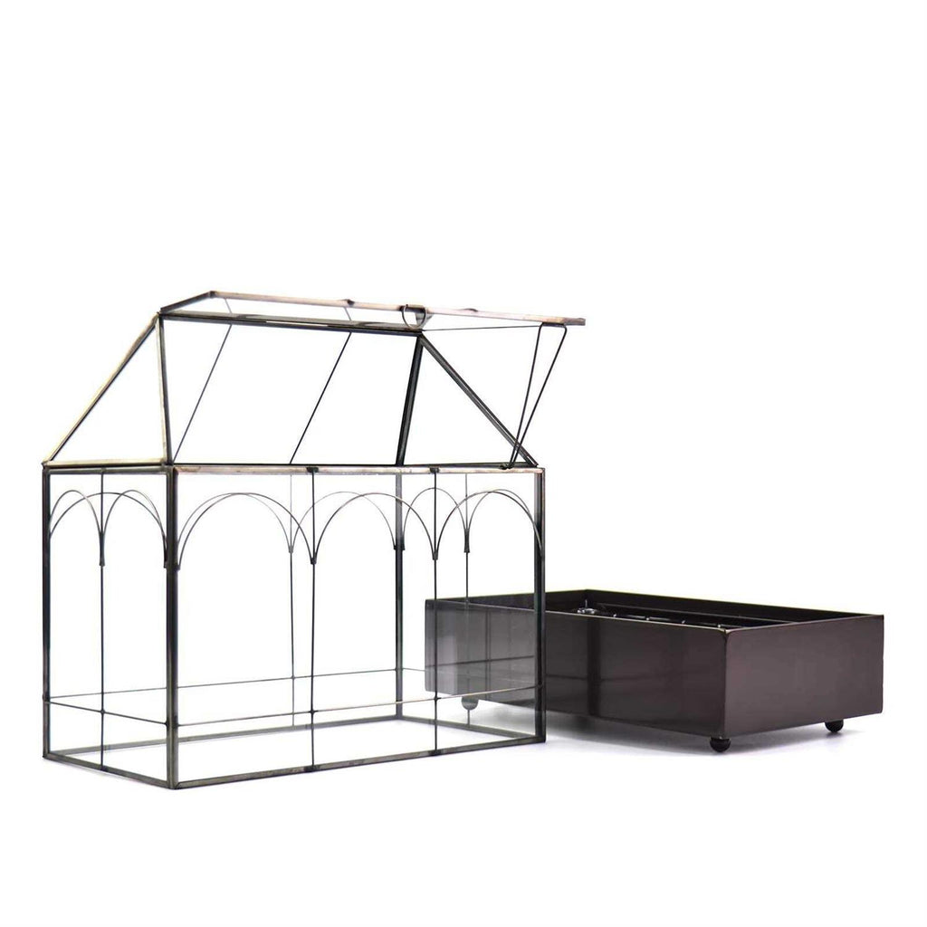 Large Tall Glass Plant Terrarium with Lip and Tray U891206