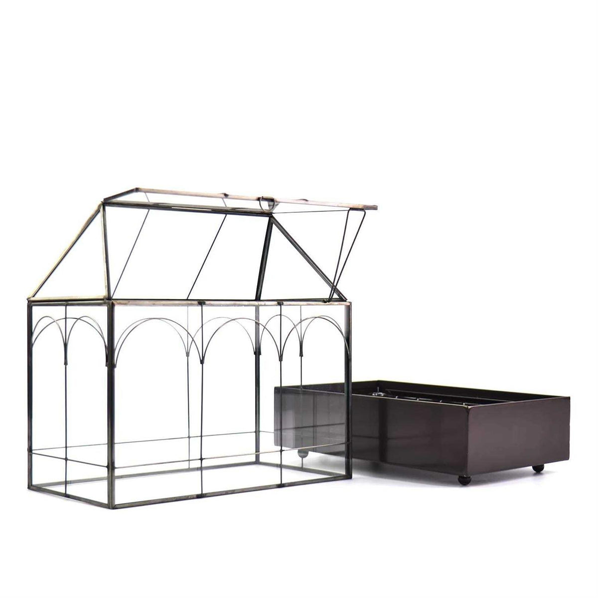 Large Tall Glass Plant Terrarium with Lip and Tray U891206
