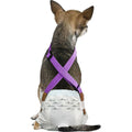 Dog Diaper Suspenders T48638