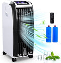 Portable 4-in-1 Evaporative Air Cooler with Humidifier S7347