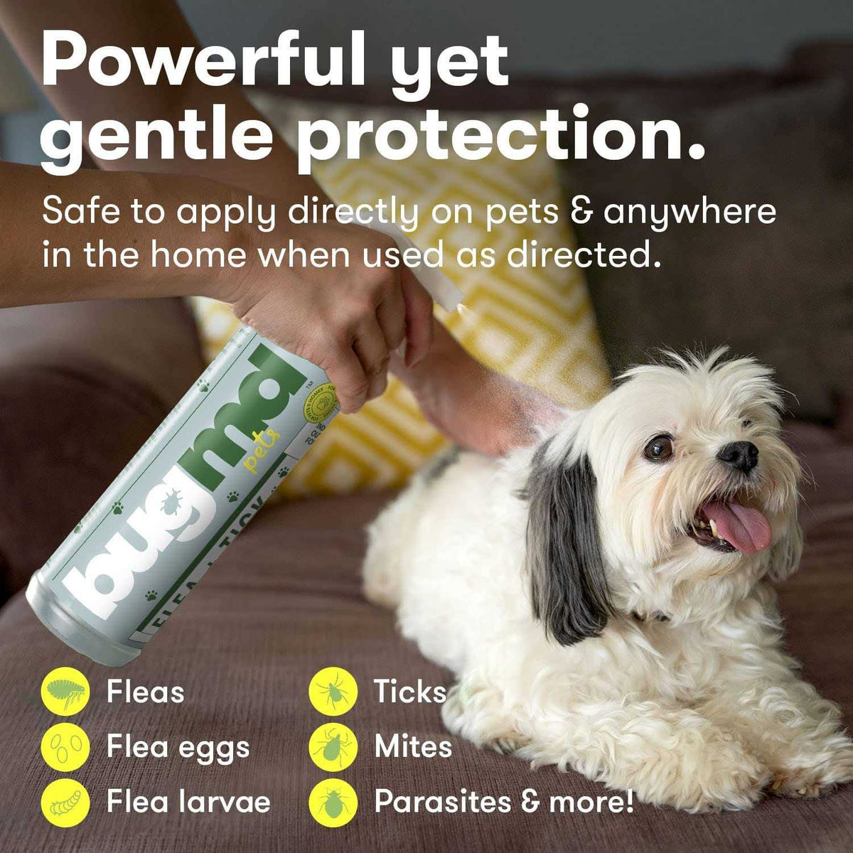 Flea and Tick Concentrate Essential Oil-Powered Formula R9951