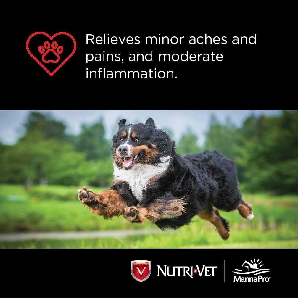 Small Dog Chewables 100 count L960