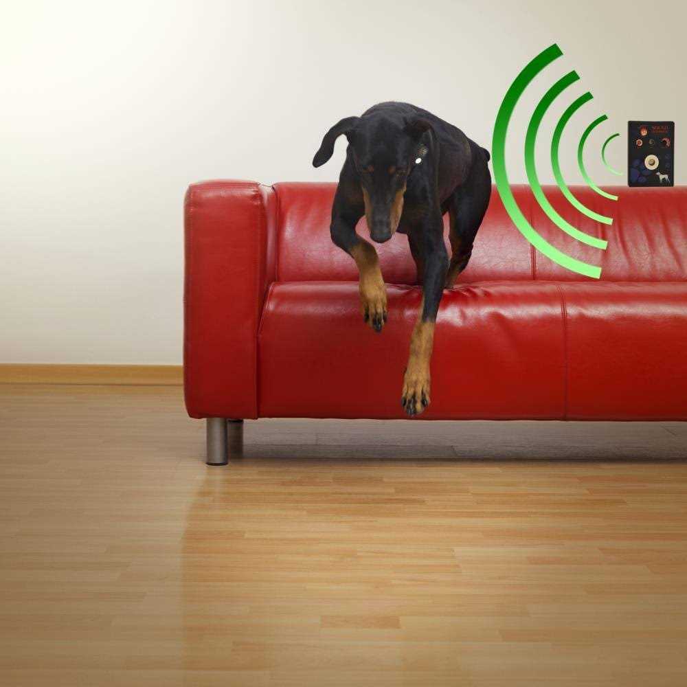 Waterproof Microsonic Collar K737
