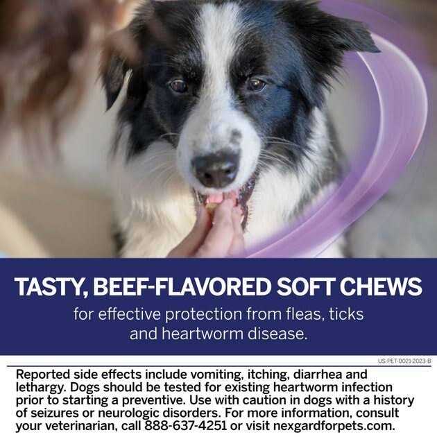 Chew for Dogs I553