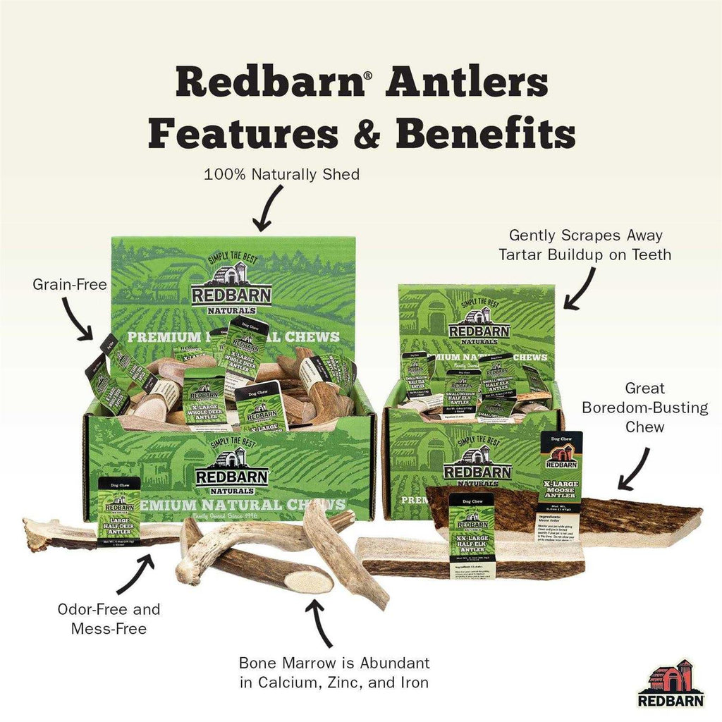 Deer Antler Pet Supplies N975