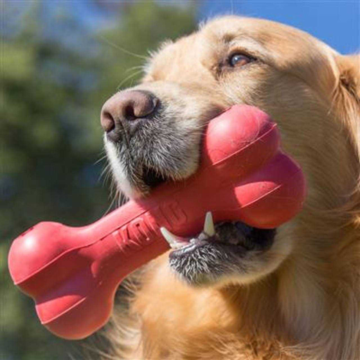 Dog Toy G926