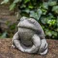 Stone Frog S61101