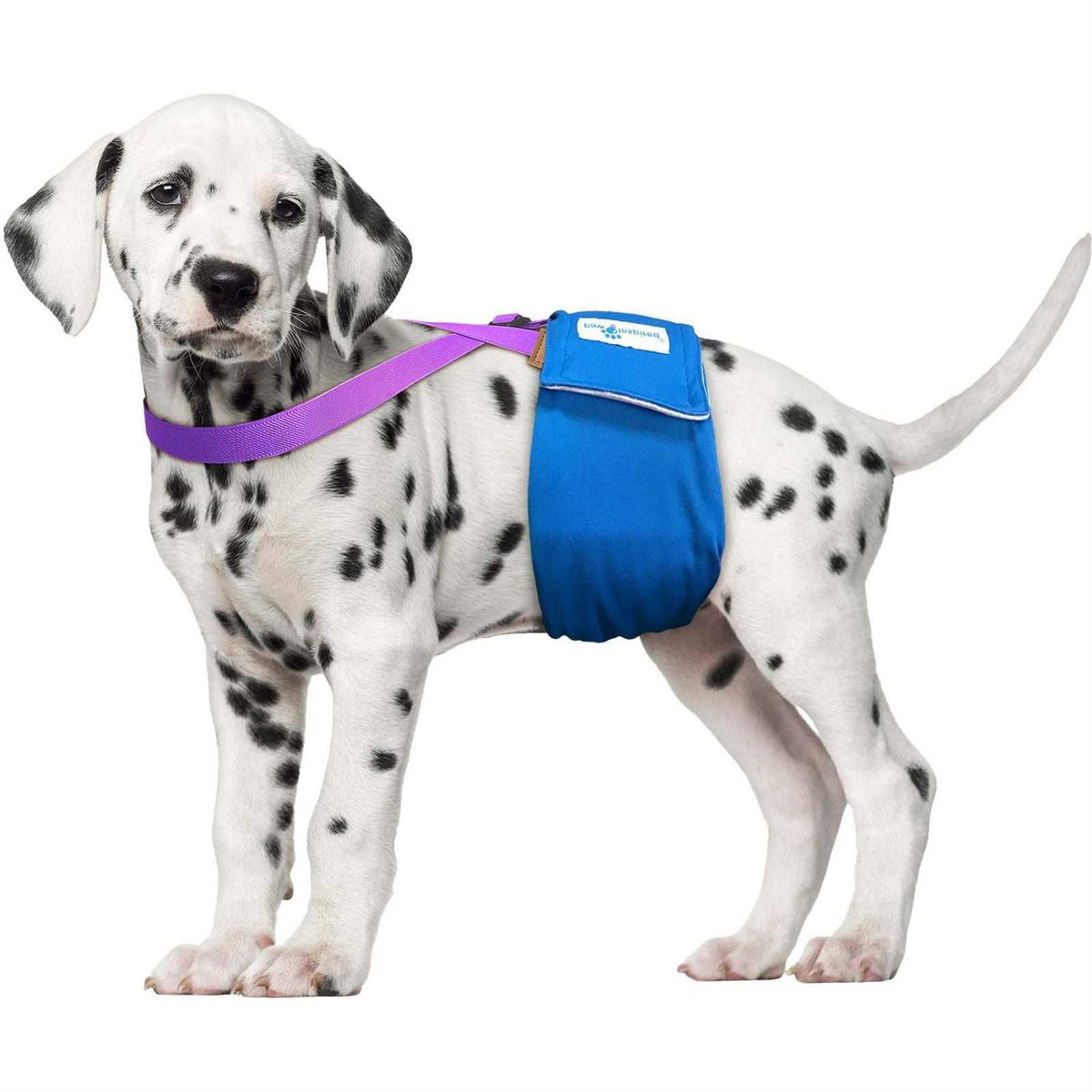 Dog Diaper Suspenders T48638