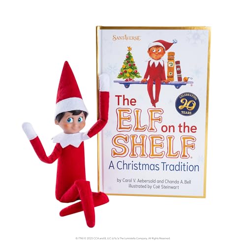 Posable Boy Scout Elf with Blue Eyes Box Set Q28480