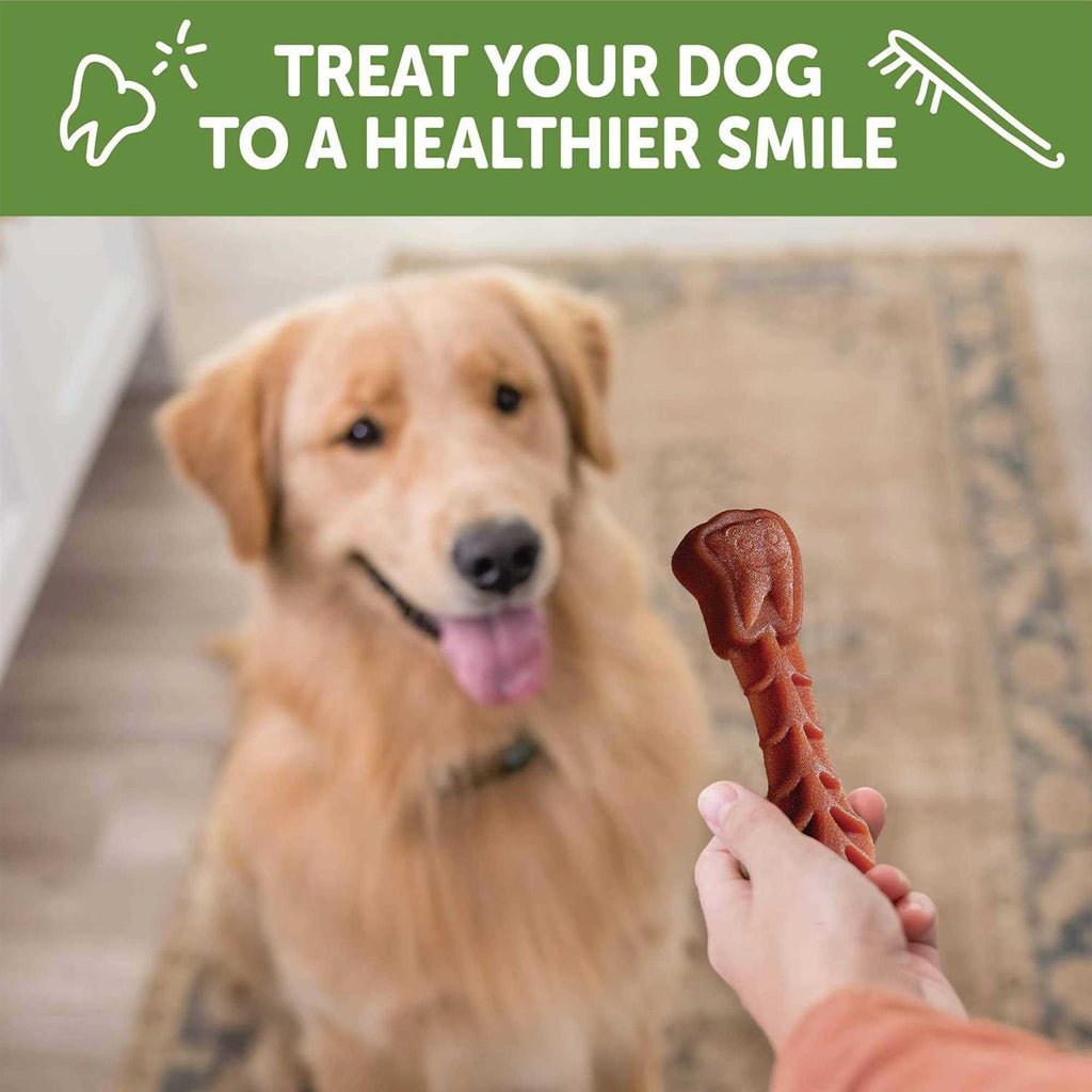 Dental Dog Treats Variety Pack Small X5281