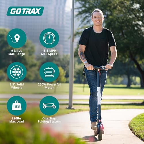 Electric Scooter with 8.5" Solid Tire, 250W Motor, Aluminum Alloy Frame I44505