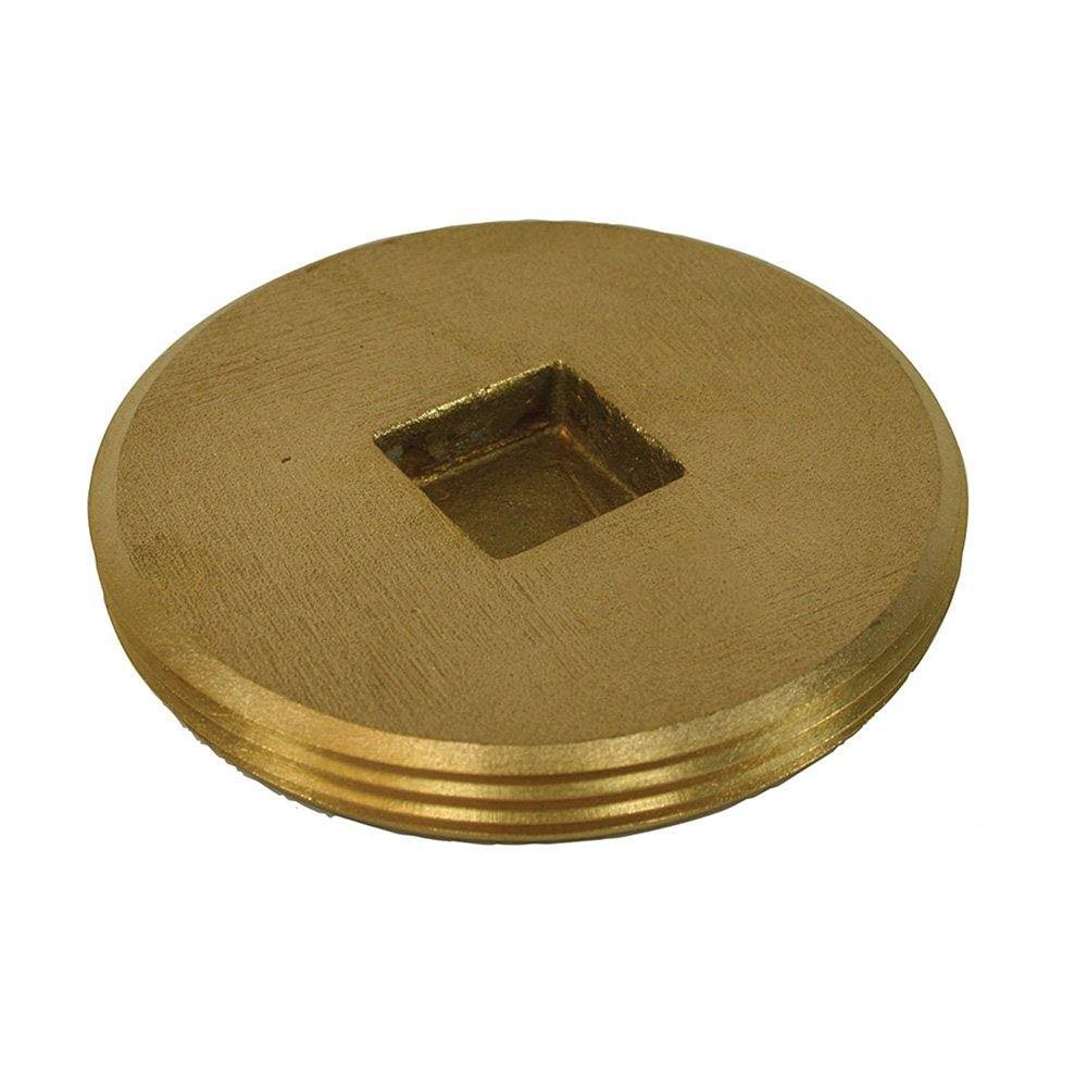 8-1/2x22 OD Brass Plug L540069