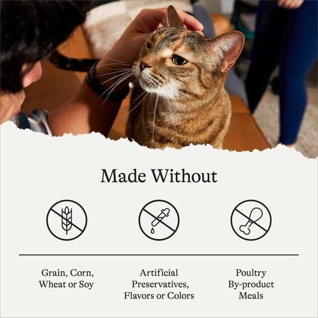 Canned Cat Food W764