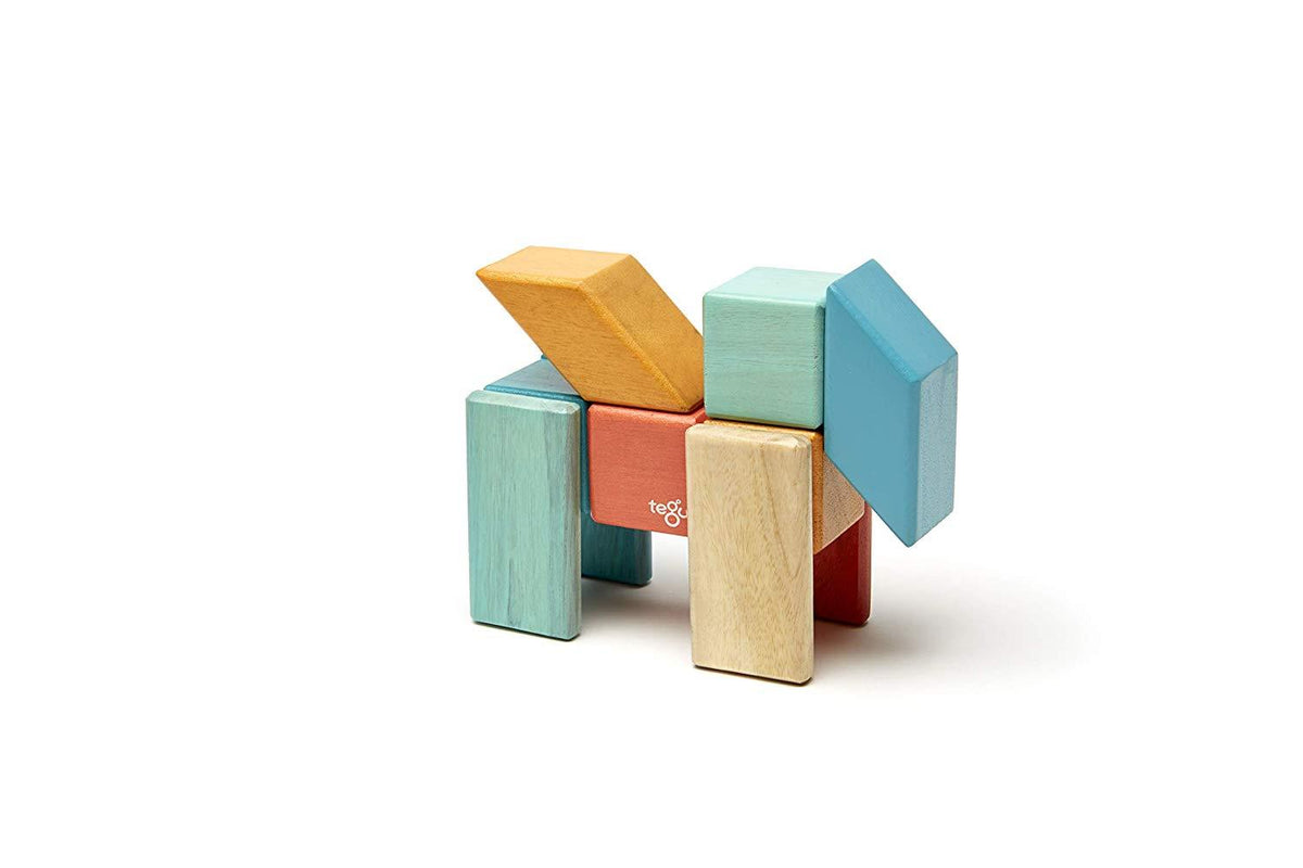 24 Piece Tegu Magnetic Wooden Block Set J889218