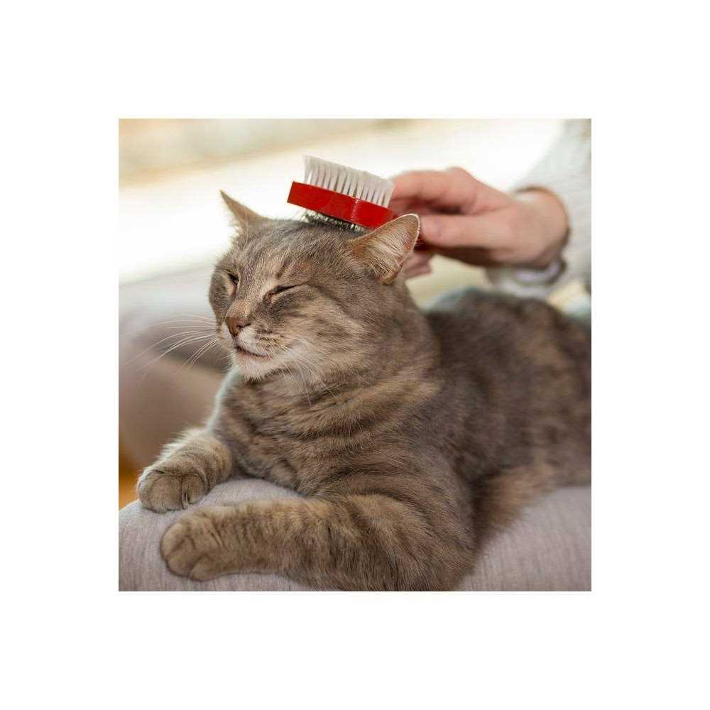 Cat Waterless Bath J7580