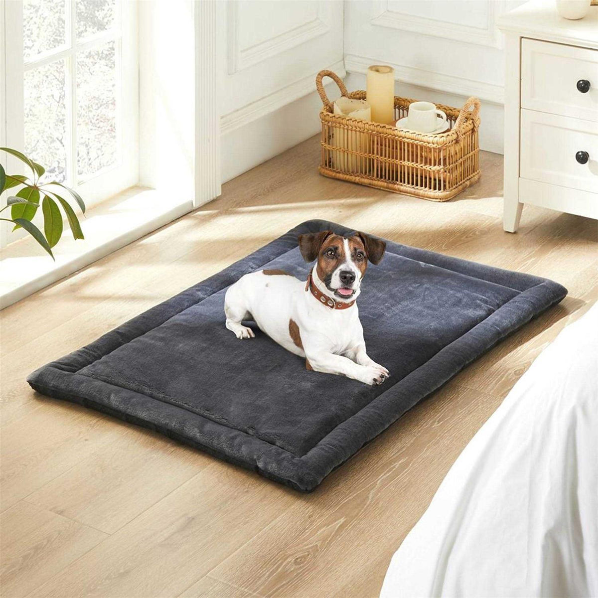 Anti-slip Waterproof Dog Bed Y1588