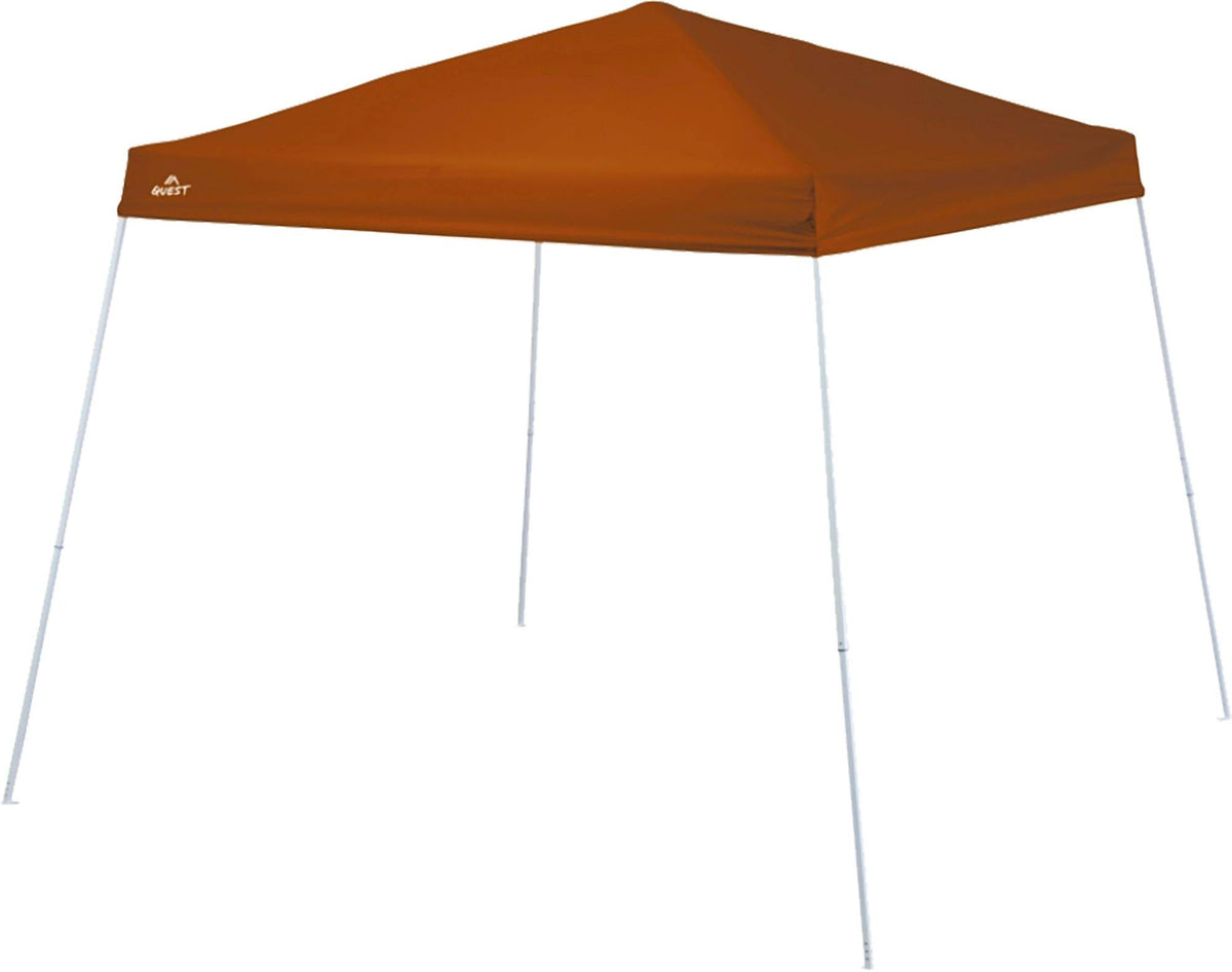 10 x 10 Instant Up Canopy R9205