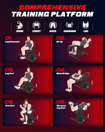 Leg Extension and Curl Machine J2587
