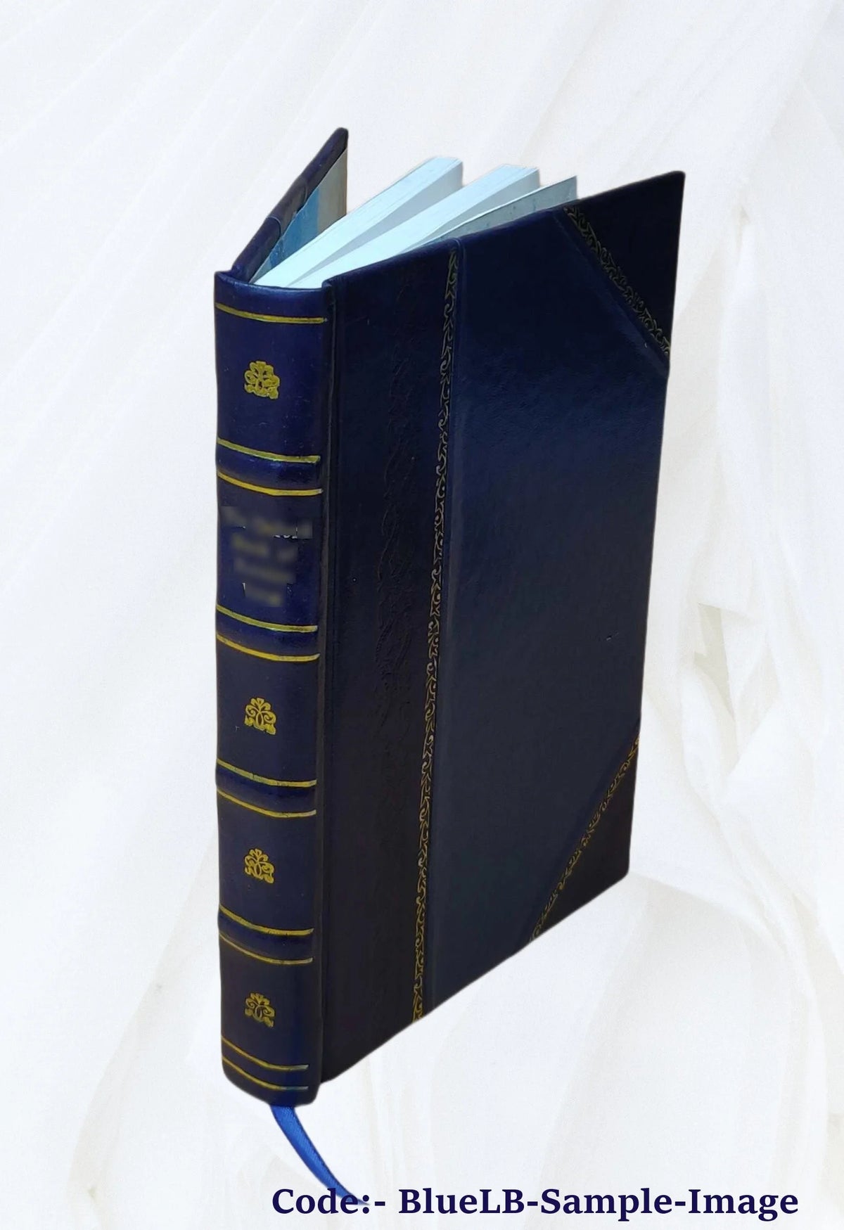 Leather Bound Book L3598
