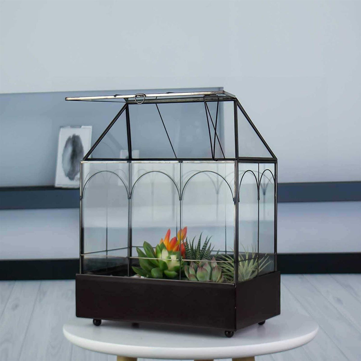 Large Tall Glass Plant Terrarium with Lip and Tray U891206