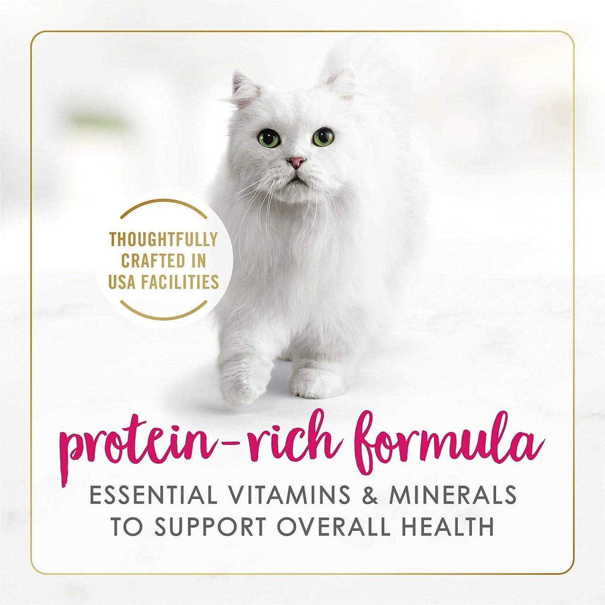 Wet Cat Food U32179