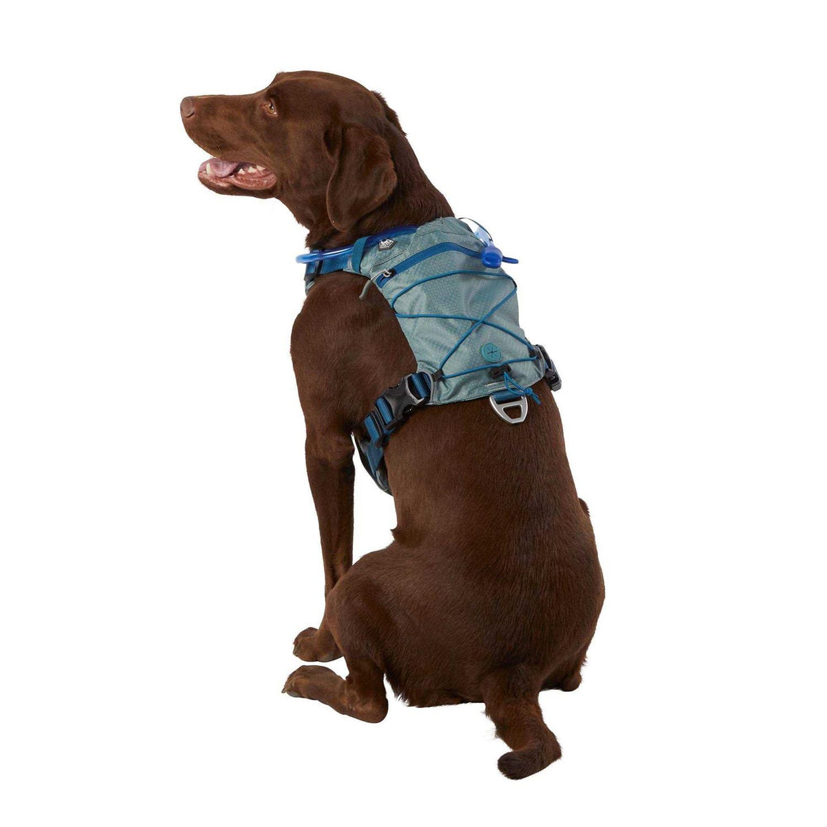 Dog Harness G89336