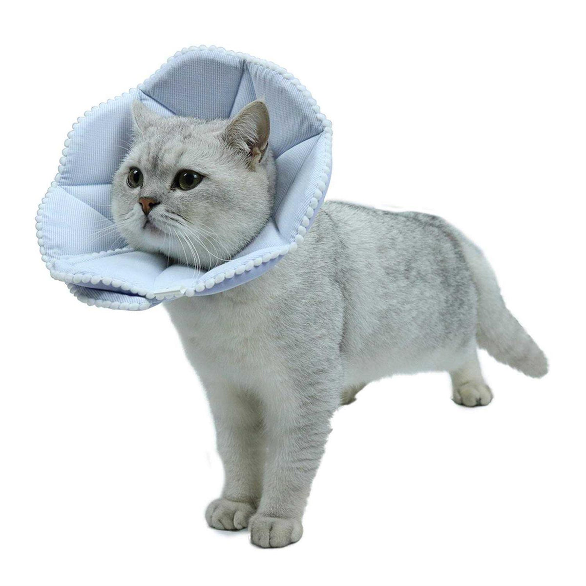 Soft Adjustable Cat Recovery Collar R4372