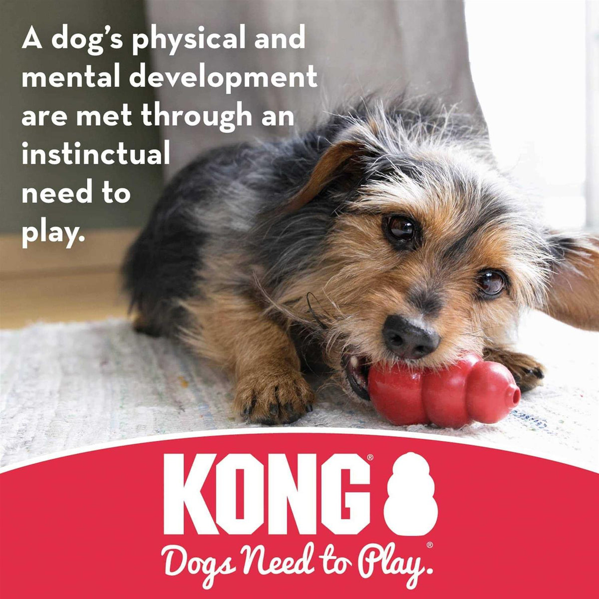 Dog Toy G926