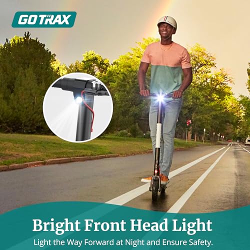 Electric Scooter with 8.5" Solid Tire, 250W Motor, Aluminum Alloy Frame I44505