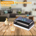 12 Egg Automatic Egg Incubator with Humidity Control J4460