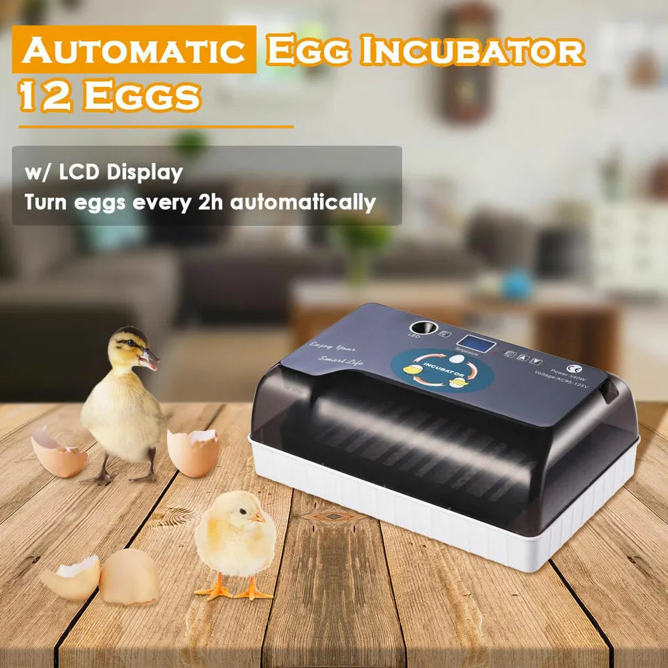 12 Egg Automatic Egg Incubator with Humidity Control J4460