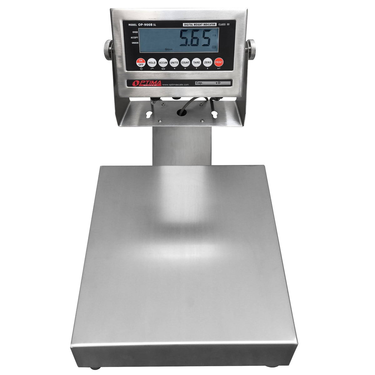 Stainless Steel Washdown Bench Scale A1791