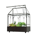 Large Tall Glass Plant Terrarium with Lip and Tray U891206