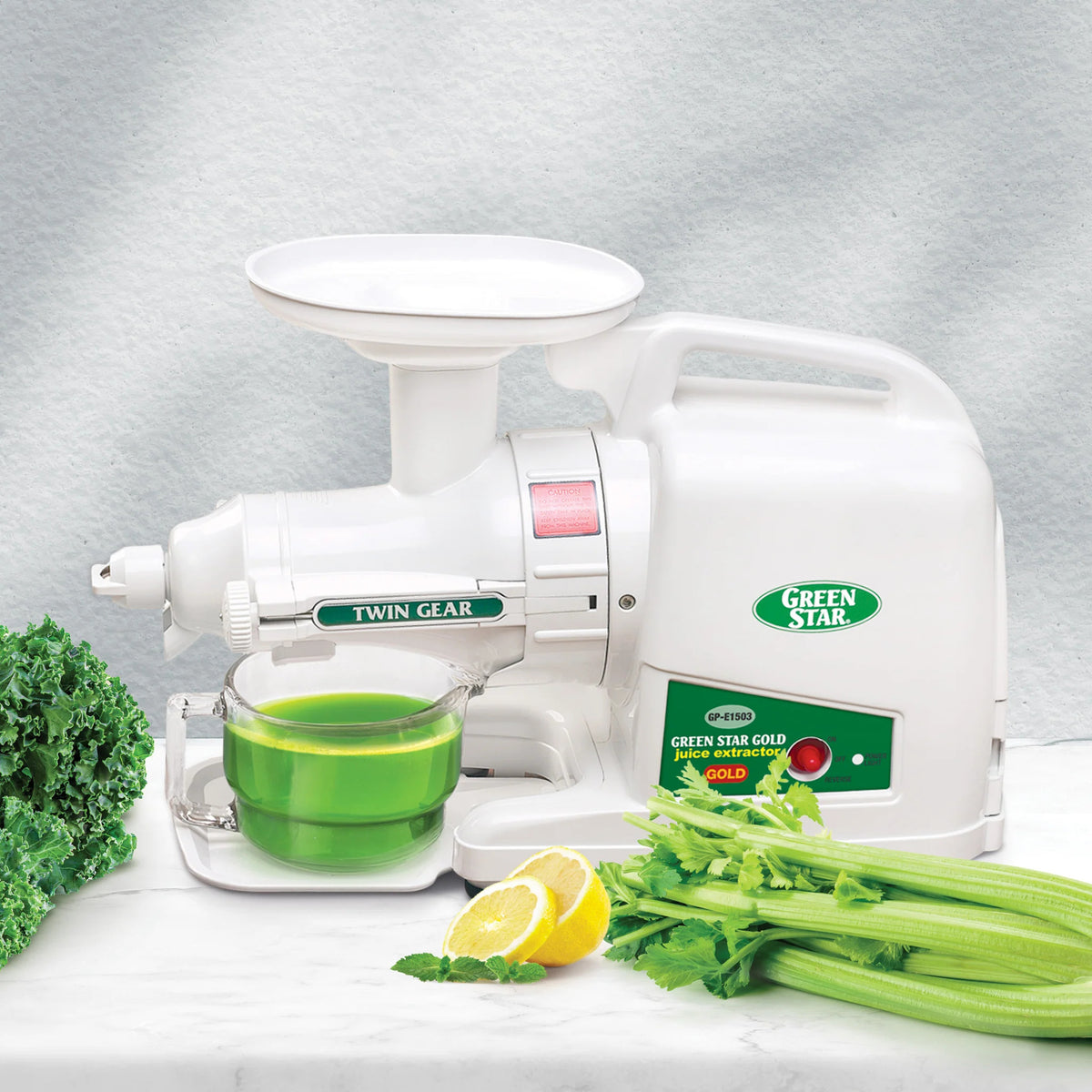 Gold HD Twin Gear Slow Masticating Juicer G40510