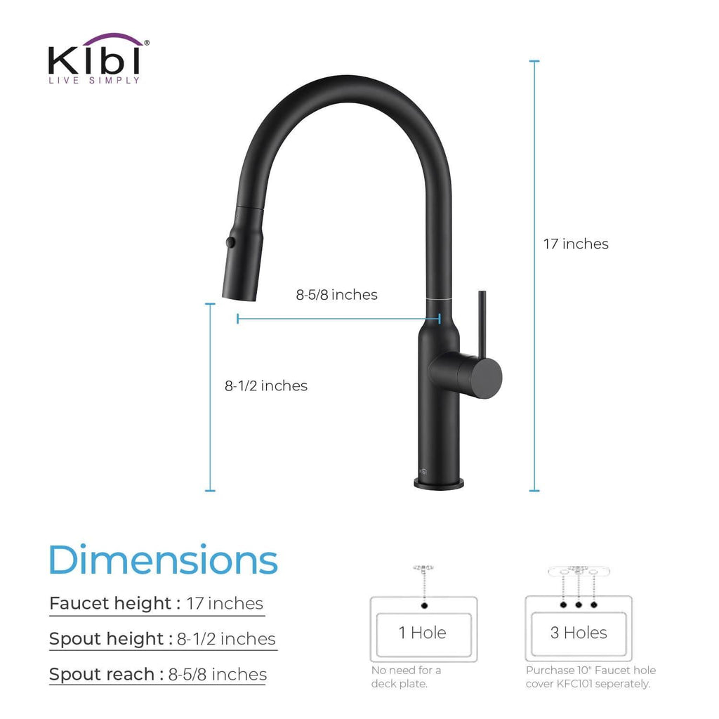 Black Single Level Kitchen Faucet with Sprayer C72130