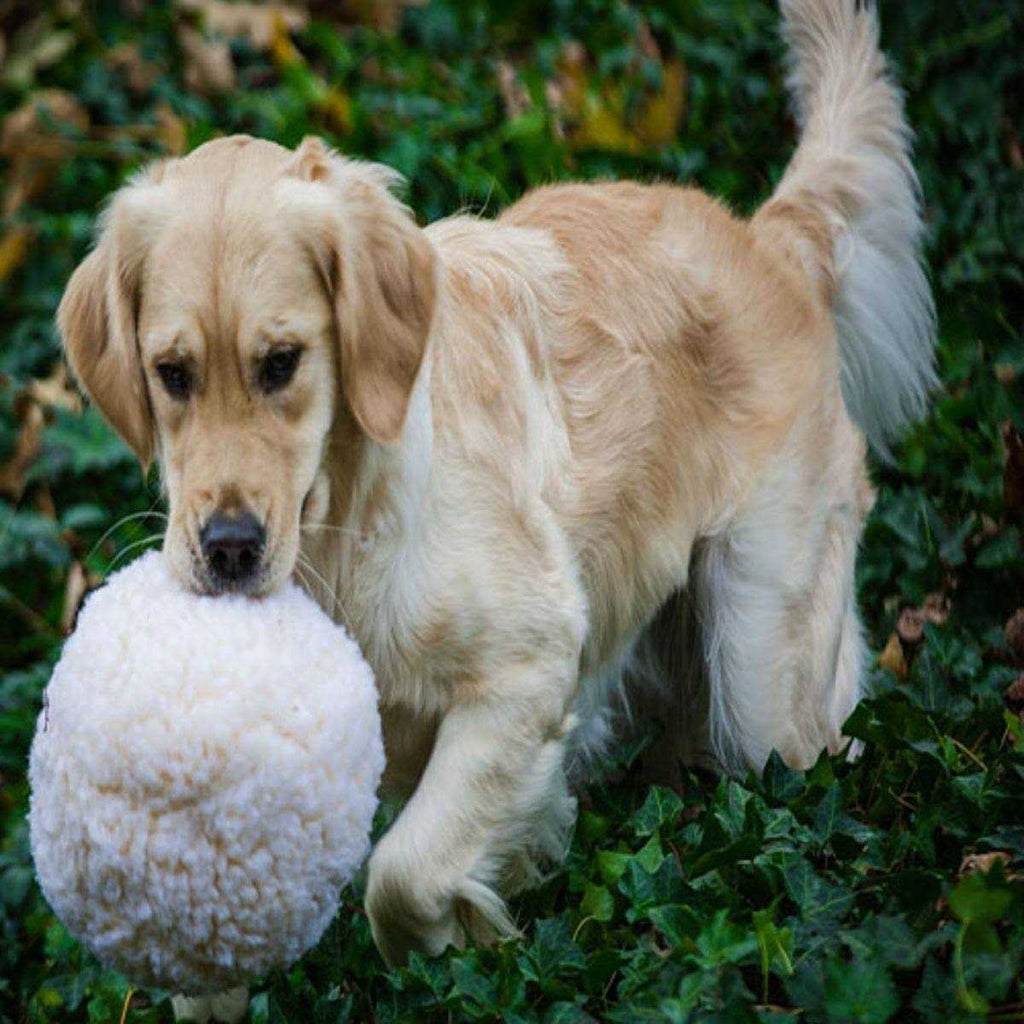 Fleece Ball Dog Toy W6850