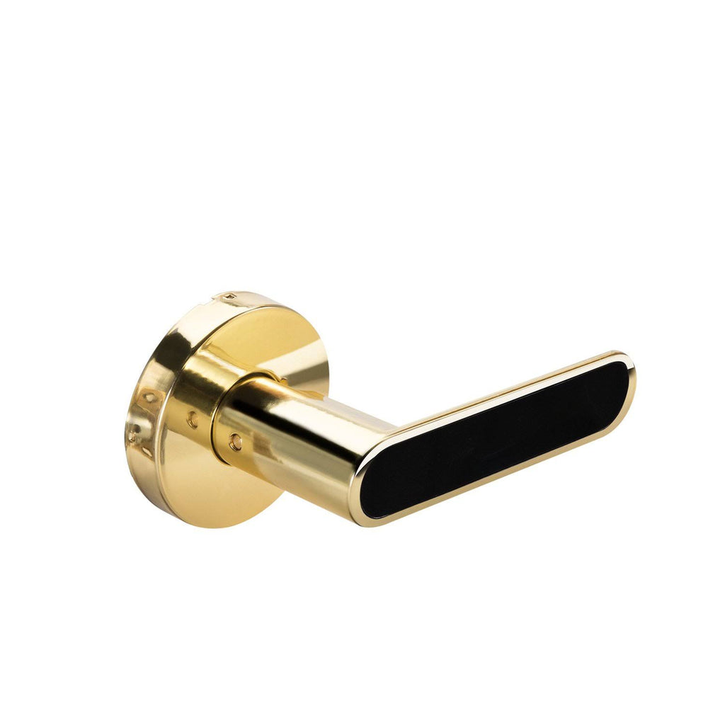 Black Inlay Privacy Lock X1828