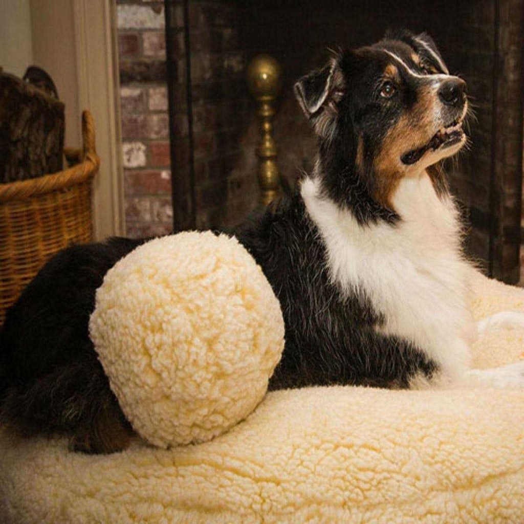 Fleece Ball Dog Toy W6850